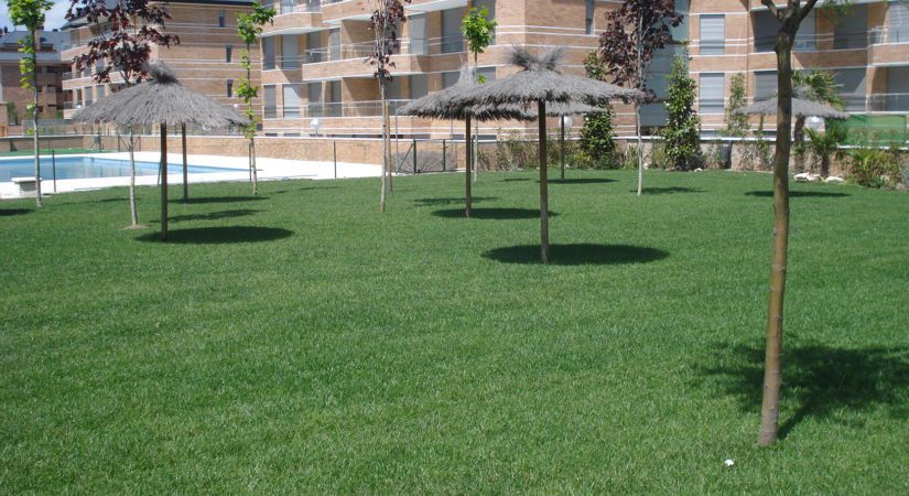 cuales son los elementos comunes de una comunidad de propietarios vecinos